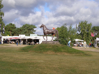 Francouzský šampionát mladých koní -- Fontainebleau 2009