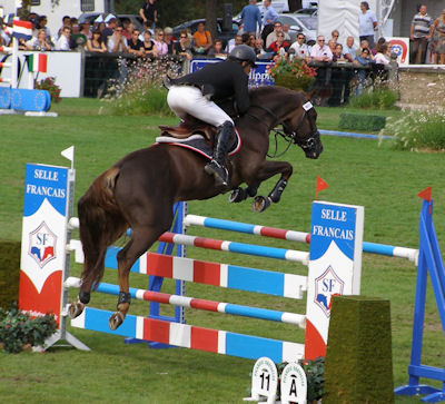 Francouzský šampionát mladých koní -- Fontainebleau 2009