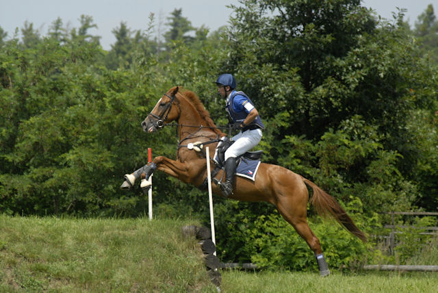 42/ 540 DRAČICE