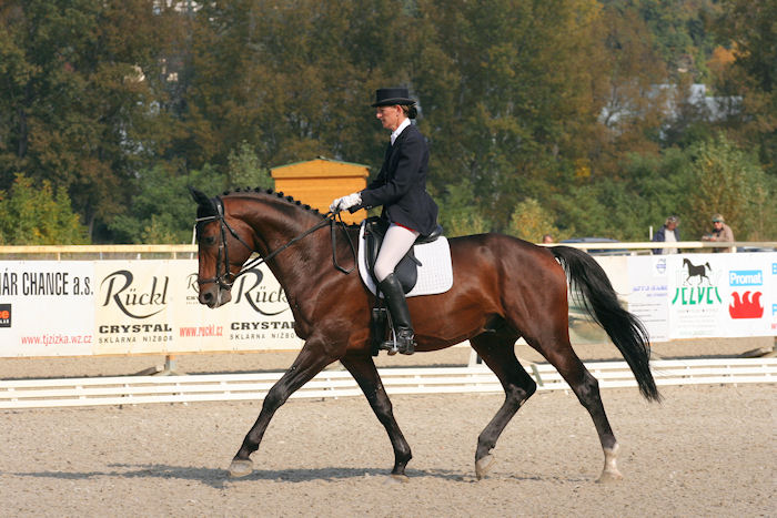 73/ 504 AMADEUS