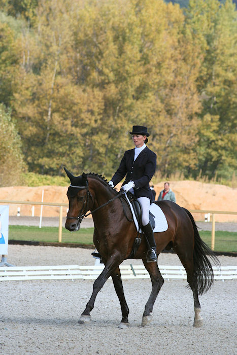 73/ 504 AMADEUS